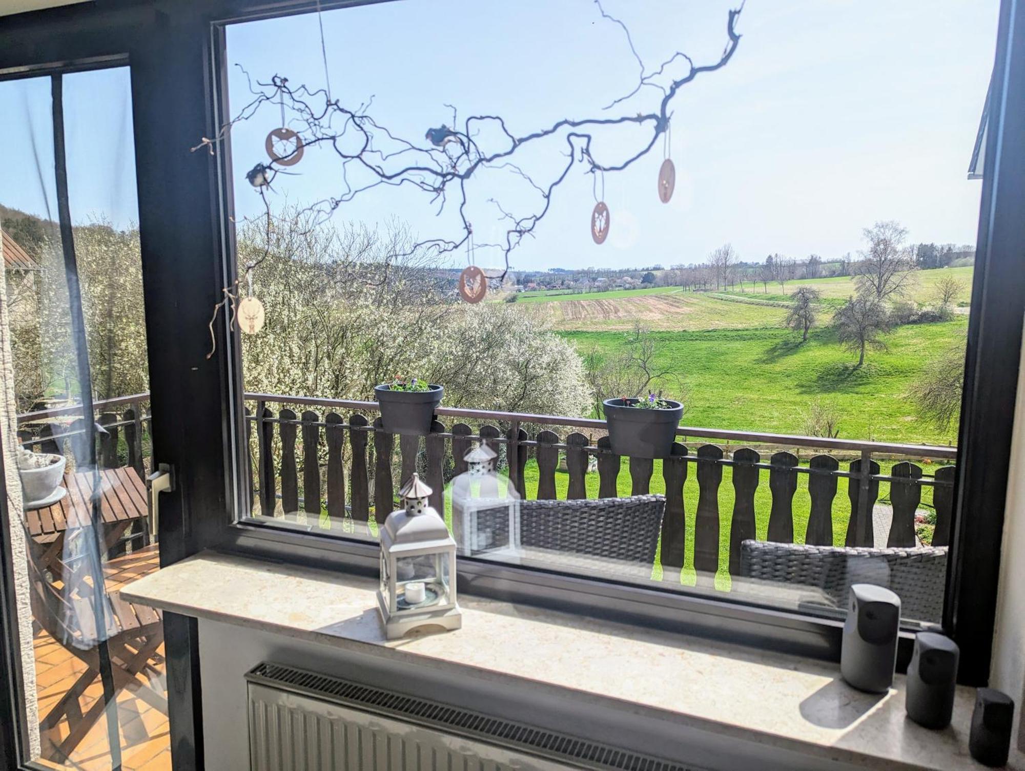 Ferienwohnung Christine Mit Sauna Und Whirlpool Utzerath Esterno foto
